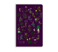 Anna Stead: For Spells & Potions (Soft Touch Journ