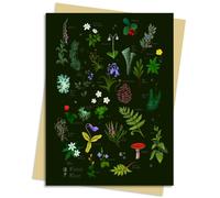 Anna Stead Forest Floor Greeting Card Pack : Pack of 6