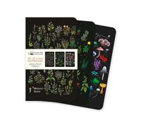 Anna Stead: Herbals Set of 3 Mini Notebooks (Mini Notebook Collections)