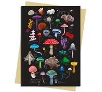 Anna Stead: Mushrooms & Fungi Greeting Card Pack : Pack of 6