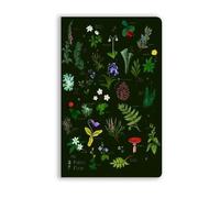 Anna Stead: The Forest Floor (Soft Touch by Tree Studio Flame (PB 2026)