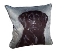 Anna Thompson Black Labrador Cushion