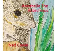 Annabelle The Antechinus