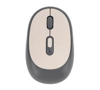 Annadue 2.4G Wireless Mouse, Portable Quiet Click 800 1600 2400 DPI USB Computer, Nano Receiver, Adjustable DPI for Chromebook, Wins 11 10 8 7 or above, and More (Grey)