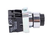 Annadue 2 Position Key Switch Self Reset, 240V 3A 22mm