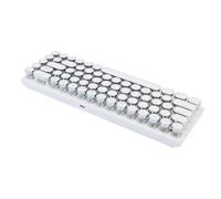 Annadue 68 Keys Wired Gaming Keyboard, Compact 60% RGB Backlit Keyboard with Mechanical Feel, Ergonomic Design, for PC Gaming Office Work (White Color Blue Switch)