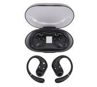 Annadue Ai Translation Earbuds, 99% Accuracy Real Time Translation Headphones with 164 Language, 36 Hour Battery Life, Led Battery Level Display For Travel Business Meetings (Black)