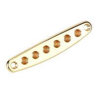 Annadue Guitar String Through Plate, 6 Hole Mounting Ferrules, Zinc Alloy Electric Bass Guitar Parts with Screws for Accessories (Gold)