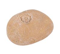 Annadue Pet Memorial Garden Stone, Lettering Simulation Pebbles Pet Grave Marker for Dogs Cats Grave Decor (Small Flower Stone Sand Yellow)