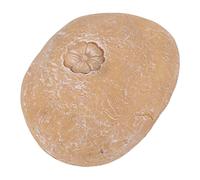 Annadue Pet Memorial Garden Stone, Lettering Simulation Pebbles Pet Grave Marker for Dogs Cats Grave Decor (Small Flower Stone Sand Yellow)