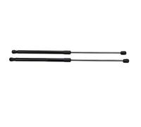 Annadue Rear Tailgate Boot Gas Strut Pair for Hatchback Cars