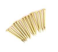 Annadue Round Head Nail 100Pcs, Brass Furniture Hinge Hardware Accessories 10mm 15mm 18mm 22mm for Hobby Woodworking (#13)