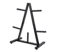 Annadue Weight Plate Storage Rack Heavy Duty 300Lbs Home Gym | Stability You Can Trust, Compact Triangle Footprint, Quick Plate Access