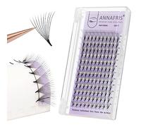 ANNAFRIS Premade Fan Eyelash Extension 16D 0.05mm D Curl 9-13mm Mix Volume Lash Extensions Pointy Base Lash Pre Made Fan Russian Eyelash False Lash（16D,0.05,D 9-13mm）