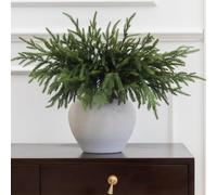 Anna's Whimsy 12 Pcs 50cm Christmas Norfolk Pine Branches, Norfolk Pine Stems, Artificial Christmas Stems DIY Crafts for Xmas Indoor Outdoor Home Decor