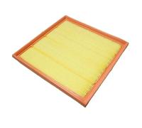 ANNBCDL Engine Filter Air Compatible 2010 SRX 3.0L TRUCK 9-4X OEM: 20897358#K55