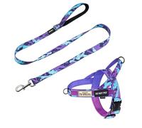 Annchwool No Pull Dog Harness with Padded Handle+5 Ft Leash,Escape Proof and Quick Fit to Adjust Dog Harness,Easy for Training Walking for Small & Medium and Large Dogs(Camo Purple -Set,S)