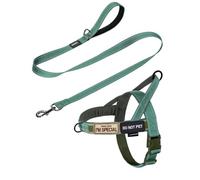 Annchwool No Pull Dog Harness with Soft Padded Handle+5FT Leash,Reflective Strip Escape Proof and Quick Fit & Adjust Dog Harness,Easy for Training Walking for Small & Medium and Large Dog(Green-Set,M)