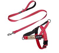 Annchwool No Pull Dog Harness with Soft Padded Handle+Leash,Reflective Strip Escape Proof and Quick Fit to Adjust Dog Harness,Easy for Training Walking for Small & Medium and Large Dog(Red-Set,M)
