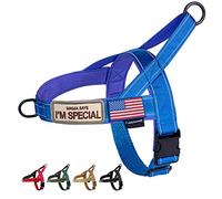 Annchwool No Pull Dog Harness with Soft Padded Handle,Reflective Strip Escape Proof and Quick Fit to Adjust Dog Harness,Easy for Training Walking for Small & Medium and Large Dogs(Blue,XS,1 in Width)