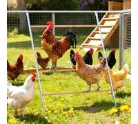 ANNDING Large Chicken Roosting Bars, 55 Inch Chicken Perch for Coop with Metal Frame, Sturdy Roosting Ladder for Hens, Chicken Coop Accessories and Toys for Backyard Poultry, Easy to Clean