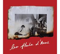 Anne Day: Les Flashes D'Anne: Friendship Among the Ashes with Hervé Guibert