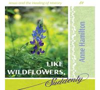 Anne Hamilton Like Wildflowers, Suddenly: Jesus & the Healing of History 01 Anne Hamilton Multicolor