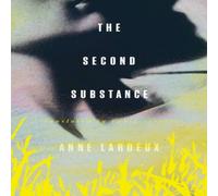 Anne Lardeux The Second Substance Paperback Book Anne Lardeux Multicolor