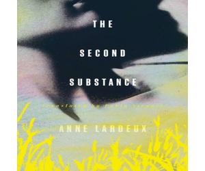 Anne Lardeux The Second Substance Paperback Book Anne Lardeux Multicolor