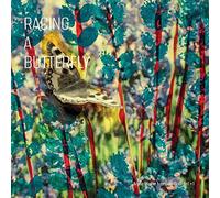 ANNE METTE -QUAR IVE - RACING A BUTTERFLY - New Vinyl Record - M1111z