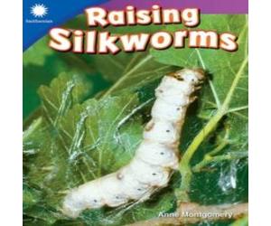 Anne Montgomery Raising Silkworms Paperback Book Anne Montgomery Multicolor