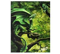 Anne Stokes Canvas 'Forest Dragon' Age of Dragons Range Fantasy Wall Art Plaque
