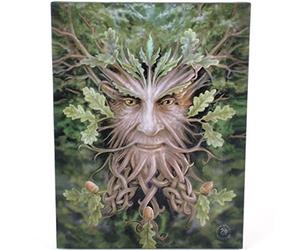 ANNE STOKES Oak King - Fantastic Design by Artist Canvas Picture on Frame Wall Plaque/Wall Art
