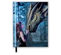 Anne Stokes: Once Upon a Time (Blank Sketch Book) (Luxury Sketch Books)