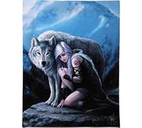 Anne Stokes Wall Canvas Plaque - Protector Magic, multicoloured, 19.05 x 25.40 cms