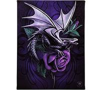ANNE STOKES WP_54714 Canvas Plaque | Dragon Beauty H25cm X W19cm X D1.5cm | pack of 1, Black