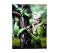 ANNE STOKES WP_55014 Canvas Plaque | Kindred Spirits H25cm X W19cm X D1.5cm | Pack of 1, Green & White