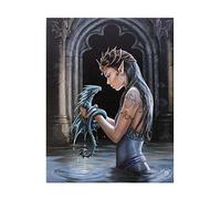 ANNE STOKES WP_75422 Plaque, Multicoloured, 20x26 cm