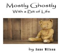 Anne Wilson Mostly Ghostly With a Bit of Life Paperback Book Anne Wilson Multicolor