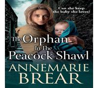 AnneMarie Brear The Orphan in the Peacock Shawl Paperback Book AnneMarie Brear Multicolor