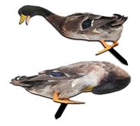 Anneome 2pcs Acrylic Duck Garden Decorative Stake with Pointed Tip for Lawn | Double Sided Pattern, Realistic Shape and Colour, Compact Display for Soil and Grass in Front Yard