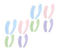 Anneome 8 Pairs Soft Fluffy Toilet Seat Cushions with Electrostatic Adhesion Washable Thickened Bathroom Mats for Comfort and Warmth Non-Slip Self-Adhesive Pads Random Colors Random Color