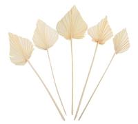 Anneome Dried Palm Leaf Decorations Chic Artistic Sense White 5pcs Dried Flower Material to Beautify Your Space with Natural Boho Style for Wedding and Home Decor