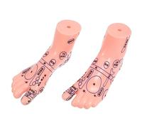 Anneome Foot Massage Model Teaching Functions for Reflexology Therapy 1 Pair Foot Model Display for Stress Relief and Relaxation