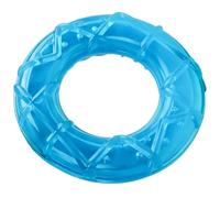Anneome Freezable Dog Chew Tpr for Puppies Small Medium Dogs