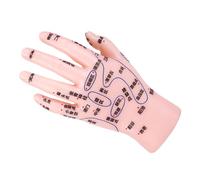 Anneome Hand Acupuncture Display Model Realistic Hand Zone Simulation for Tcm Education for Acupuncture Practice Massage Therapy Training User Friendly with Clearly Labeled