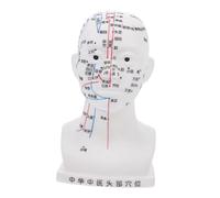 Anneome Human Head Acupuncture Model Facial Acupoint Teaching Tool for Traditional Chinese Medicine Learning and Laboratory Use