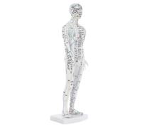 Anneome Human Simulation Acupuncture Model with Lifelike Pressure Point Markings White Material Meridian Display for Traditional Chinese Medicine Learning and Clinical Teaching