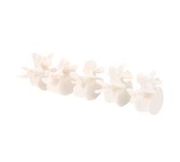 Anneome Life Human Lumbar Spine Model Stage Vertebrae Medical Teaching Tool PVC Anatomical Lumbar Vertebrae Pathology Model for Clinical Study and Education
