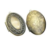 Anneome Locket Picture Pendant Photo Oval Openable Memorial Charms European American Carvings Antique Bronze Metal Frame 2pcs for Necklace DIY Jewelry Making Wedding